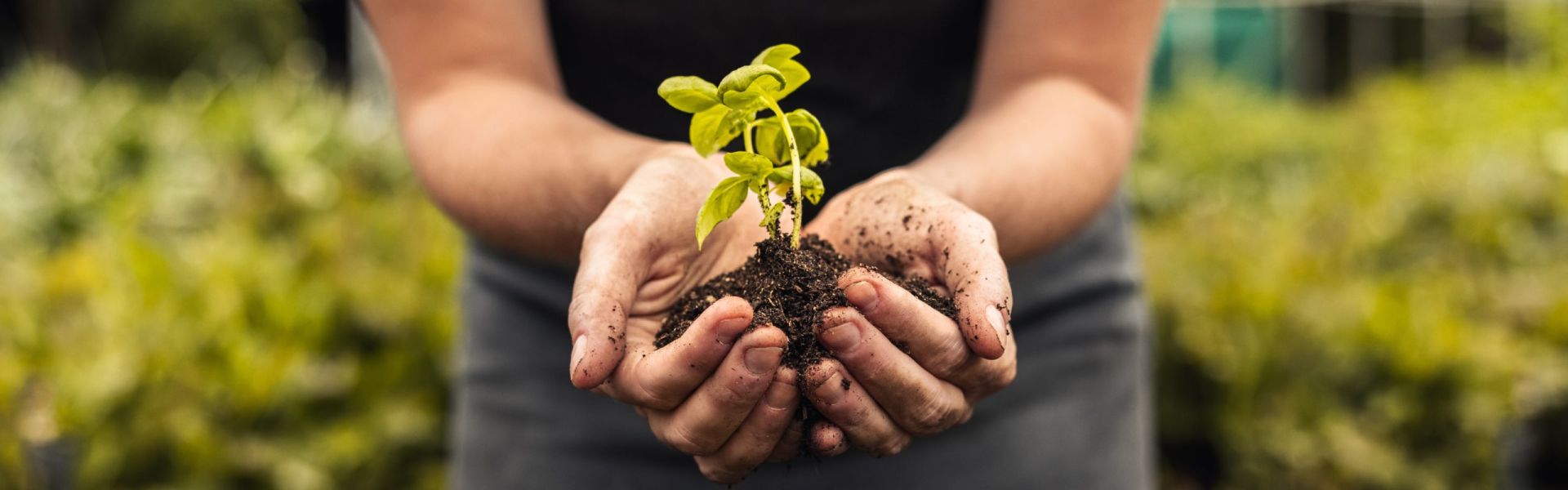 Sustainability Hero Image